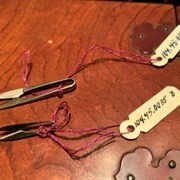 Cover image of Miniature Scissors